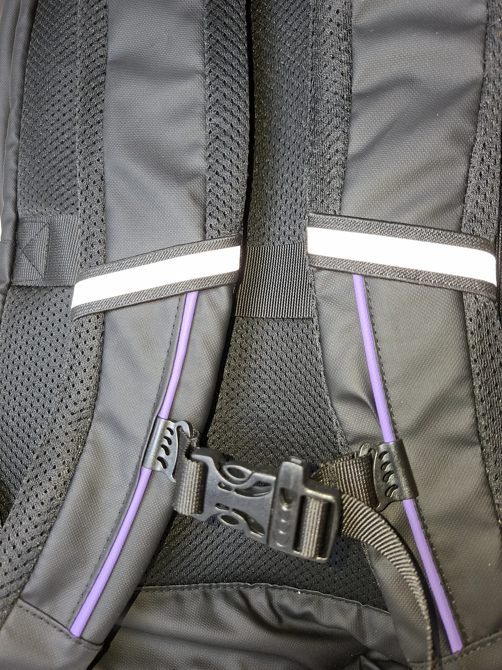 Black and Purple Roll-Top Backpack
